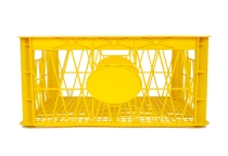 CUNG CẤP RỔ ĐỰNG SẦU RIÊNG