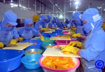 Tiền Giang: Tập trung nâng cao giá trị nông sản